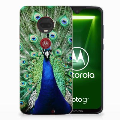 Motorola Moto G7 | G7 Plus TPU Hoesje Pauw Motorola Moto G7 | G7 Plus TPU Hoesje Pauw
