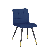 Eetkamerstoel Giorgio Blauw velvet