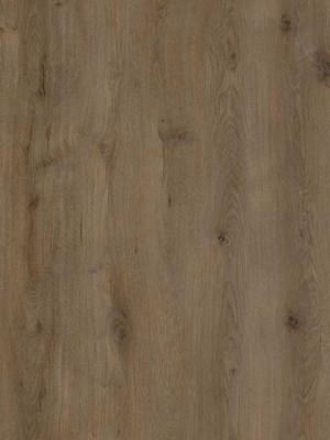 Plak PVC EKO Kingsize collection 23,5 x 150,5 x 0,25 cm Houtlook Seine Eko Floors Plak PVC EKO Kingsize collection 23,5 x 150,5 x 0,25 cm Houtlook Seine Eko Floors