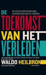 De toekomst van het verleden - Waldo Heilbron - ebook