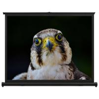 vidaXL Tafelprojectiescherm 4:3 50''