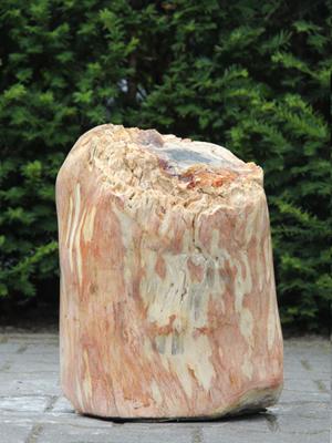 Versteend hout VH-6B