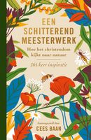 Een schitterend meesterwerk - Cees Baan - ebook