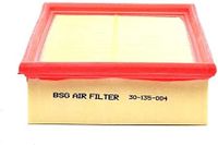 Luchtfilter BSG30135004