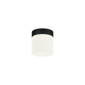 Nowodvorski Ø 10cm badkamer plafondlamp Cayo 8055