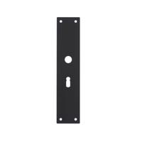 Intersteel renovatieschild rechthoekig 250x55x2mm sleutelgat 56mm - RVS/mat zwart