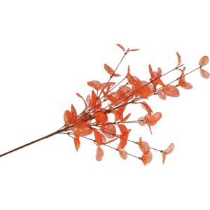 DK Design Kunstbloem Eucalyptus tak Silk - 72 cm - oranje   -