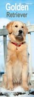 Golden Retriever Slim Calendar 2026 Dog Breed Slimline Calendar - 12 Month