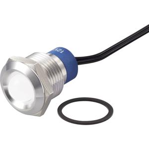 TRU COMPONENTS TC-7495268 LED-lamp Wit 12 V