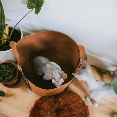 Kattenmand Paper Cognac Kattenmand Paper Cognac