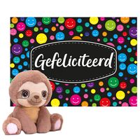 Keel toys - Cadeaukaart Gefeliciteerd met knuffeldier luiaard 16 cm - thumbnail