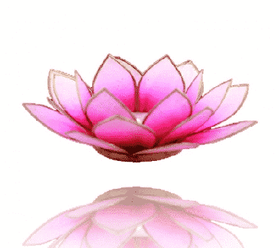 Lotus Sfeerlicht Roze-Lichtroze Goudrand