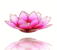 Lotus Sfeerlicht Roze-Lichtroze Goudrand