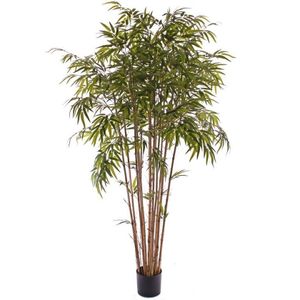 Tropische bamboe boom 130 cm   -