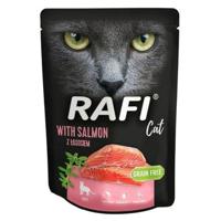 Dolina Noteci Kattenvoer RAFI kat zalm 300 g