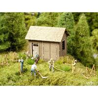 Noch 12050 op de Alpine Weide Landschapsmodellering