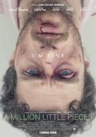 A Million Little Pieces - DVD (8713045250195)