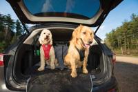 Hondendeken voor de kofferbak Charcoal