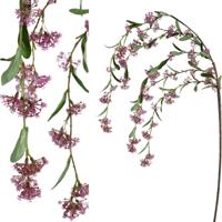PTMD Blossom bloem pink hanging ixora