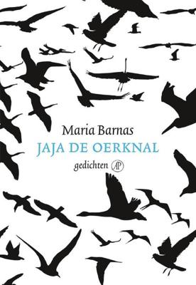 Jaja de oerknal - Maria Barnas - ebook