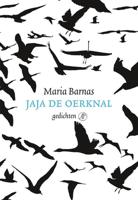 Jaja de oerknal - Maria Barnas - ebook