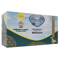 Renske Vers Vlees Hondenvoer Multipack XL 24 x 395 gr