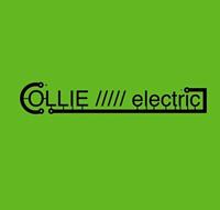 Collie/////electric