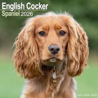 English Cocker Spaniel Calendar 2026 Square Dog Breed Wall Calendar - 16 Month