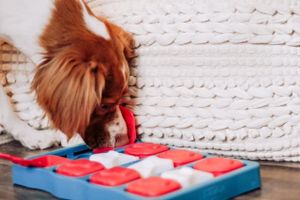 NINA OTTOSSON DOG BRICK TURQUOISE / ROOD 31,5X21X4 CM