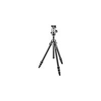 Gitzo GK2542-82QD cameraset – camera-accessoires (zwart, DSLR, 2,45 kg, 1800 mm)