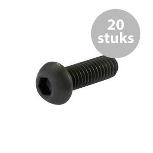 M3x10mm inbusboutje (20 stuks)