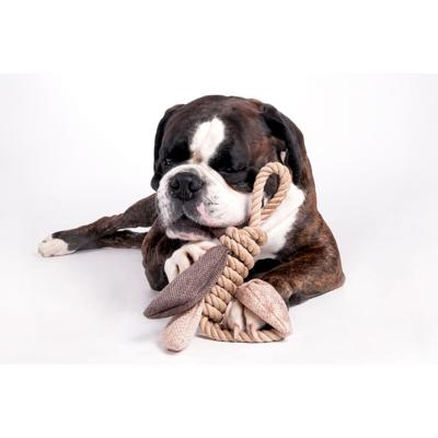 Hondenspeelgoed Touw Vlinder - 35 cm Hondenspeelgoed Touw Vlinder - 35 cm