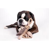 Hondenspeelgoed Touw Vlinder - 35 cm