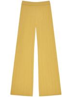 12 STOREEZ High waist broek - Geel