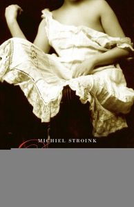 De notaris en het meisje - Michiel Stroink - ebook