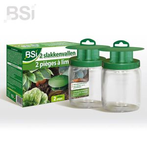 BSI slakkenvallen