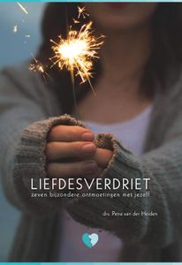 Liefdesverdriet - Petra van der Heiden - ebook