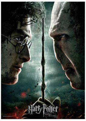 Harry Potter - Harry VS Voldemort Puzzel (1000 Stukjes) - Puzzel;Puzzel (8435450232404)