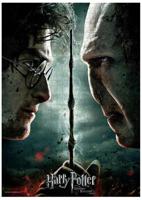 Harry Potter - Harry VS Voldemort Puzzel (1000 Stukjes) - Puzzel;Puzzel (8435450232404)