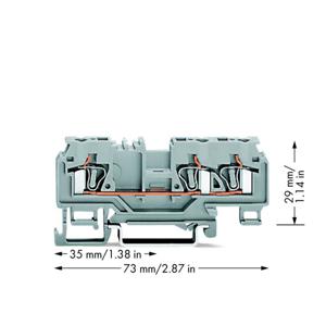 WAGO 880-681 Doorgangsklem 5 mm Spanveer Toewijzing: L Grijs 100 stuk(s)