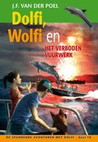 Dolfi, Wolfi en het verboden vuurwerk - J.F. van der Poel - ebook - thumbnail