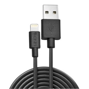 Lindy 31322 3m USB A Mannelijk Mannelijk Zwart USB-kabel