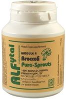 Broccoli pure-sprouts - thumbnail