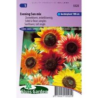 Helianthus Annuus zaden Evening Sun Zonnebloem - thumbnail