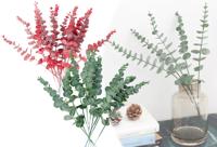 Eucalyptus nepplanten kopen? Nu bij Vouchervandaag in de aanbieding!