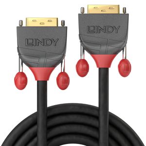 Lindy 36220 0.5m DVI-D DVI-D Grijs DVI kabel