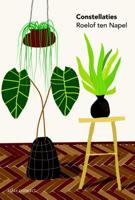 Roelof ten Napel Constellaties