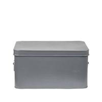 LABEL51 Opbergblik Media Opbergkist - Grijs - Metaal - XL