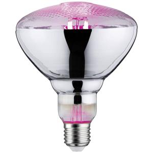 Paulmann LED-plantenlamp groei PAULMANN 230 V E27 6.5 W Barnsteen 1 stuk(s)