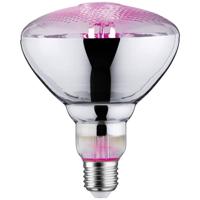 Paulmann LED-plantenlamp groei PAULMANN 230 V E27 6.5 W Barnsteen 1 stuk(s) - thumbnail